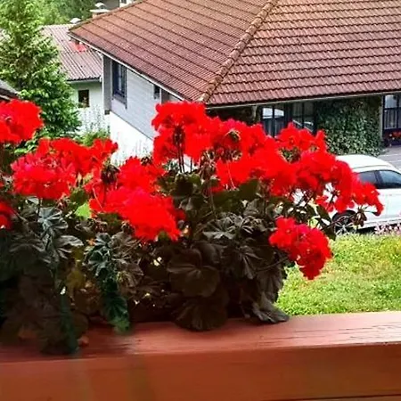 Haus Loeger Pyhrn Priel Apartment