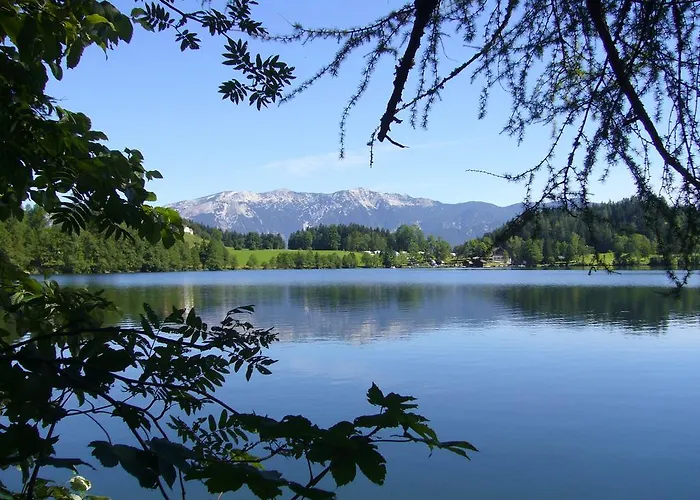 Haus Loeger Pyhrn Priel アパート *