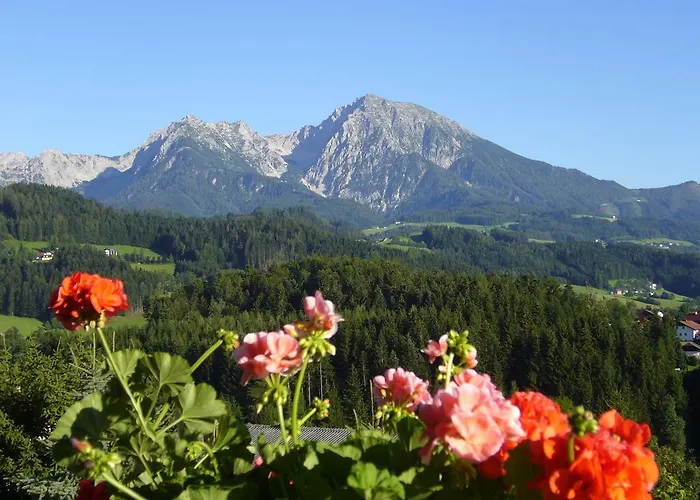 Haus Loeger Pyhrn Priel * ヴィンディッシュガルシュテン