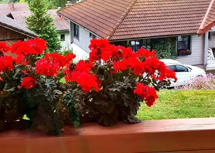 Haus Loeger Pyhrn Priel アパート